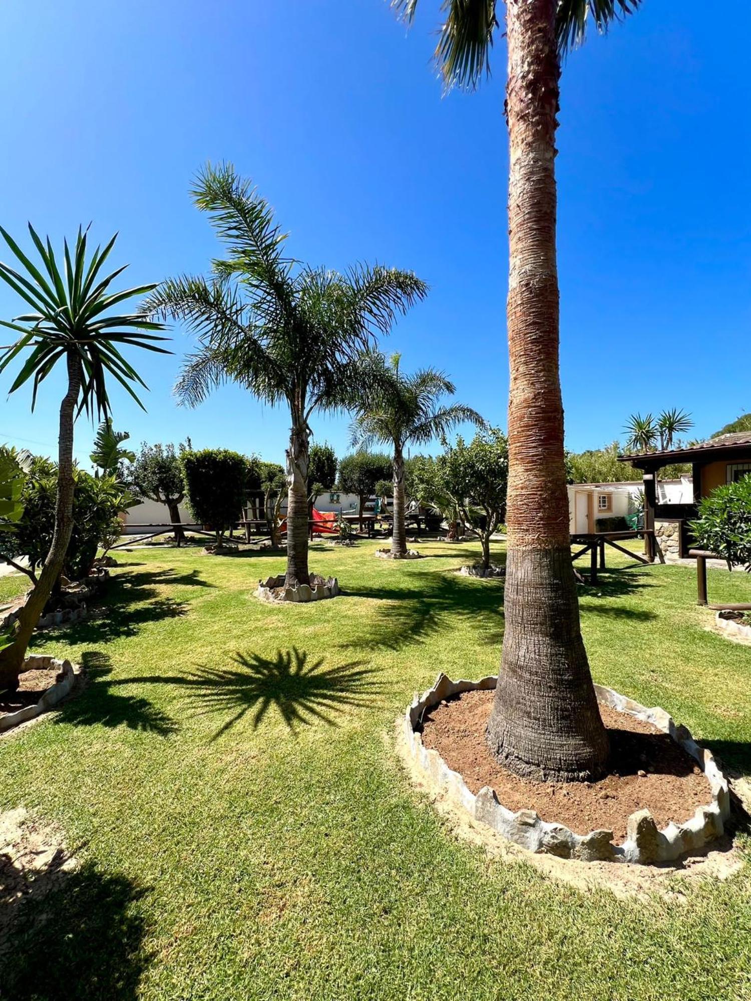 Kitecamp Tarifa Apartman Kültér fotó