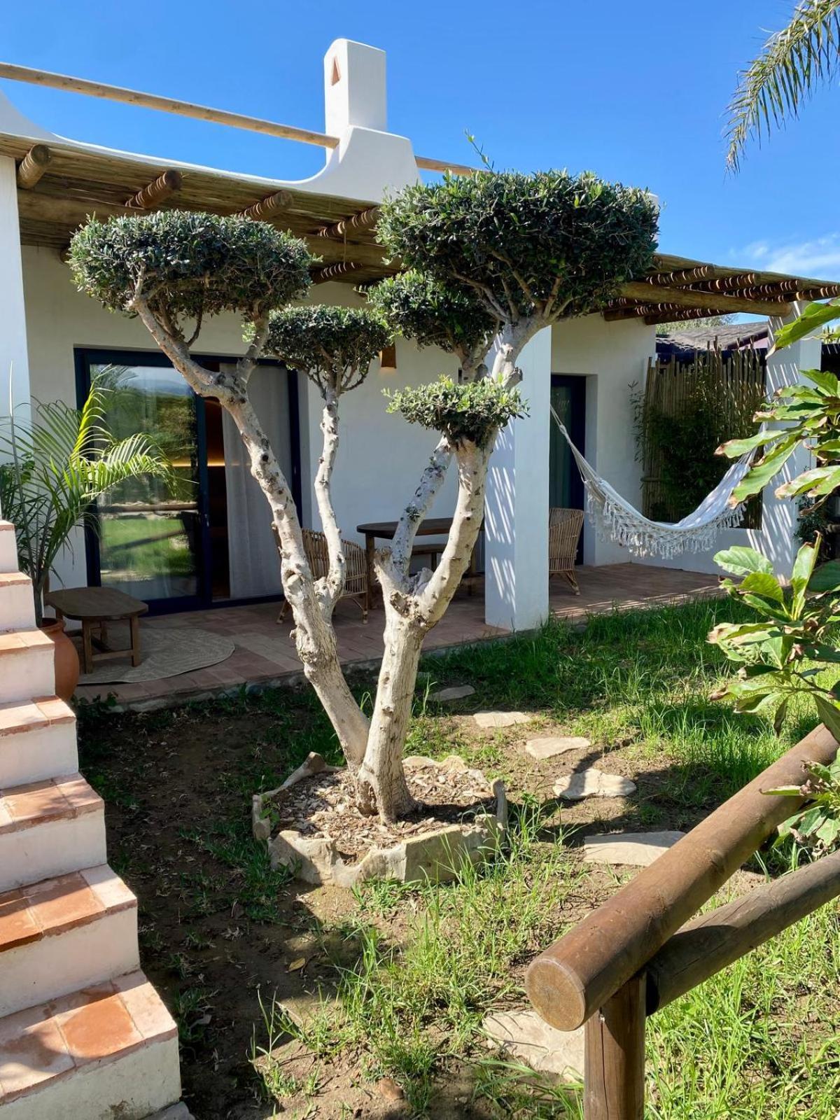 Kitecamp Tarifa Apartman Kültér fotó
